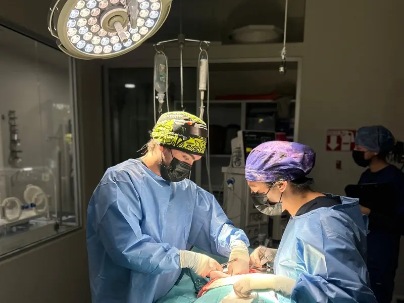 Hospital Veterinario Lomont Vasconcelos
