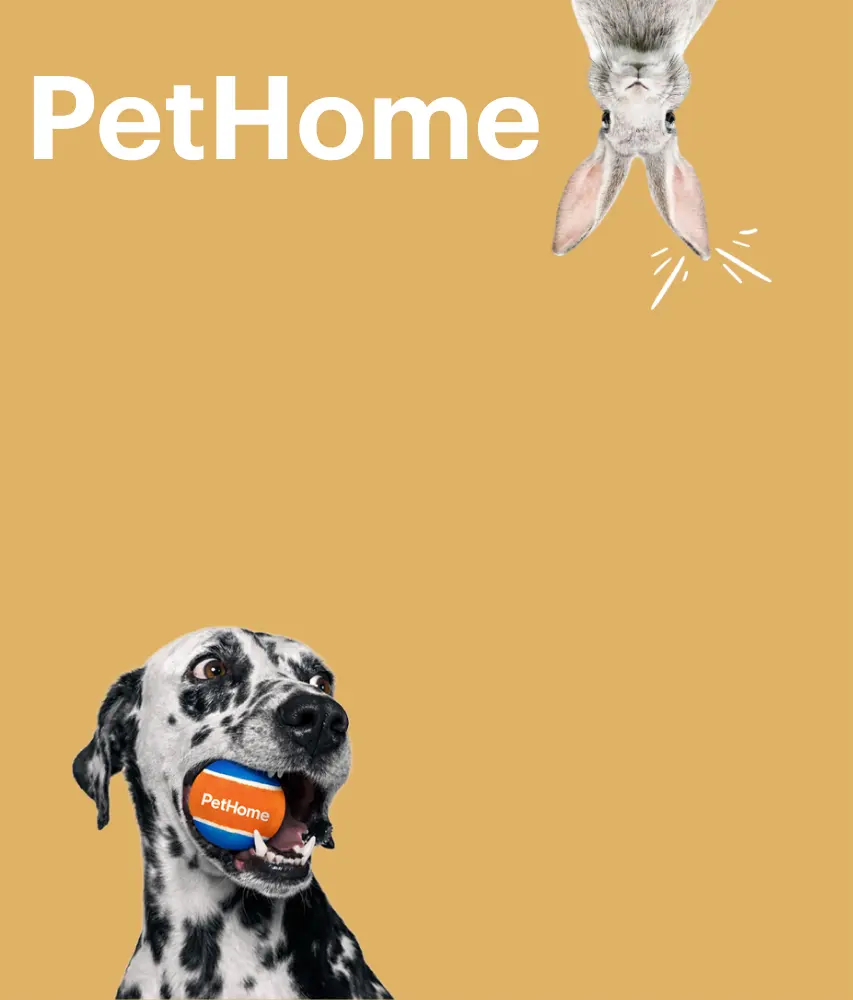 PetHome San Pedro — foto 2 de 4