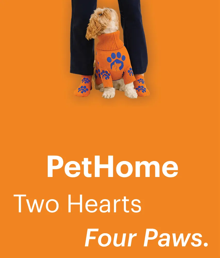 PetHome San Pedro — foto 4 de 4