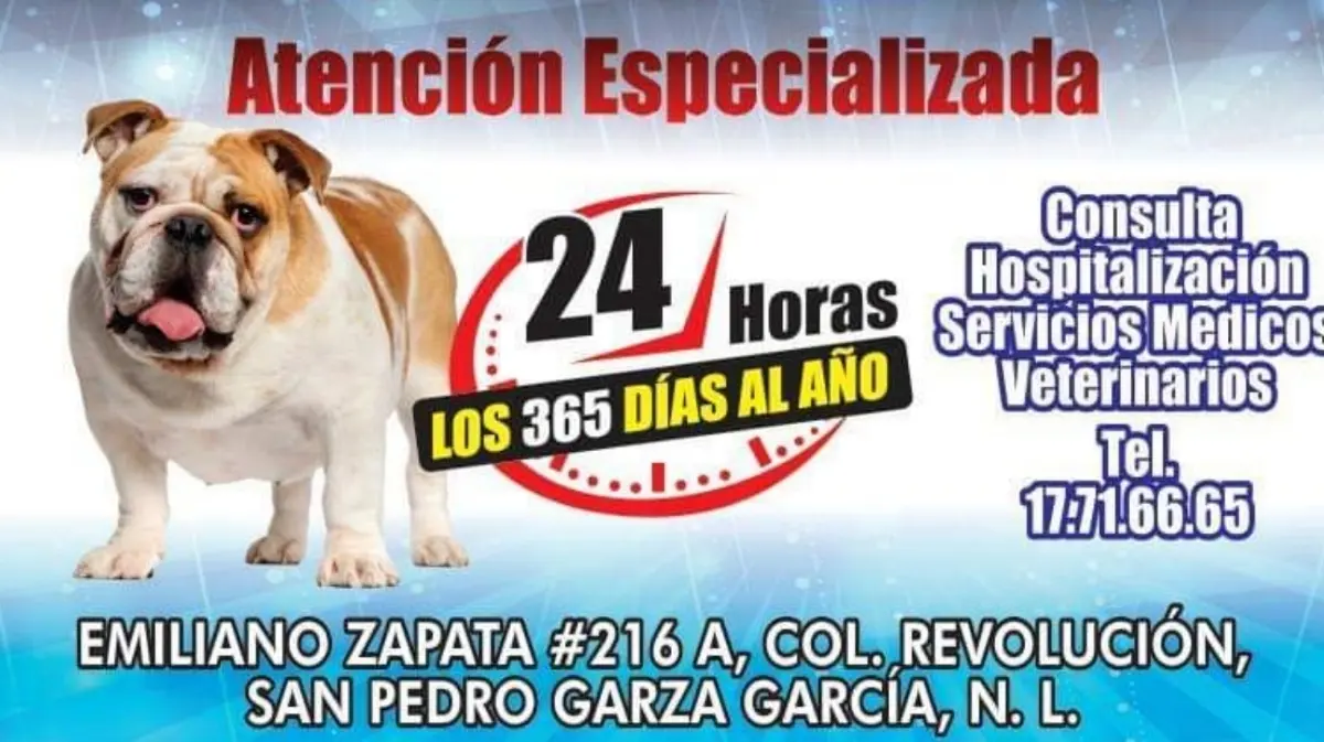 Veterinaria Fuentes — foto 3 de 3