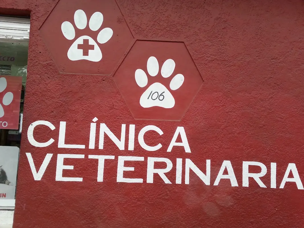 Clínica Veterinaria San Francisco de Asís — foto 4 de 4
