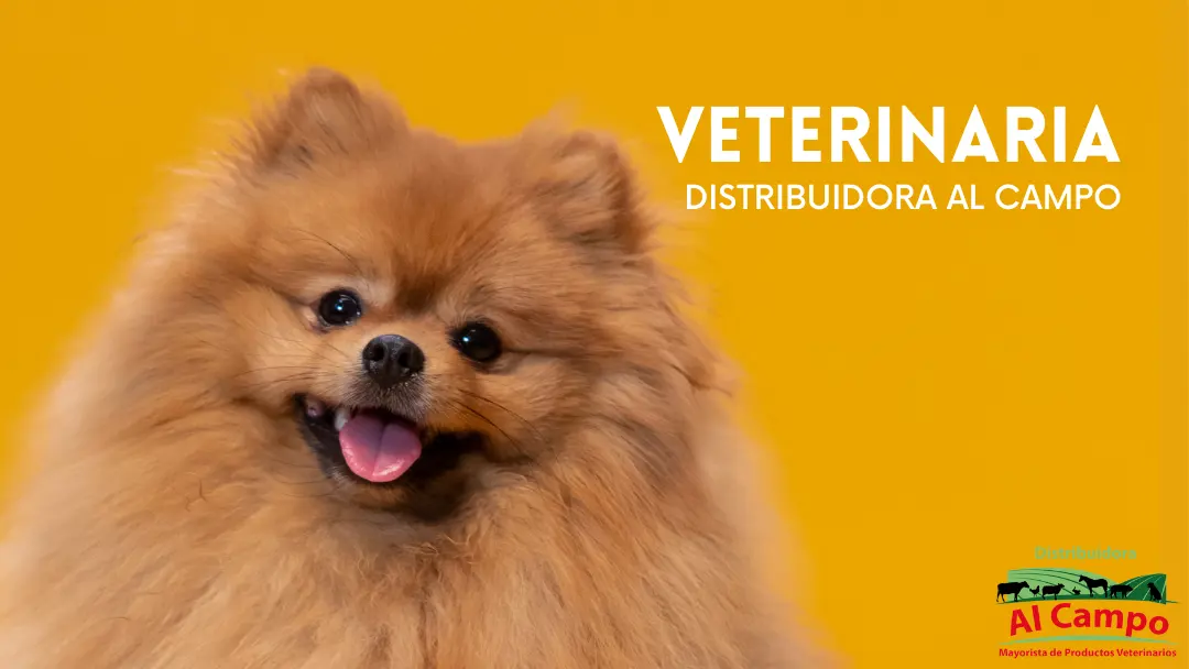 Al Campo | Distribuidora de Alimentos y Productos Veterinarios