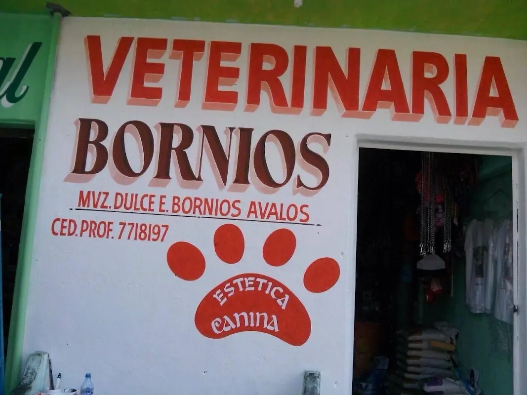 Veterinaria Bornios