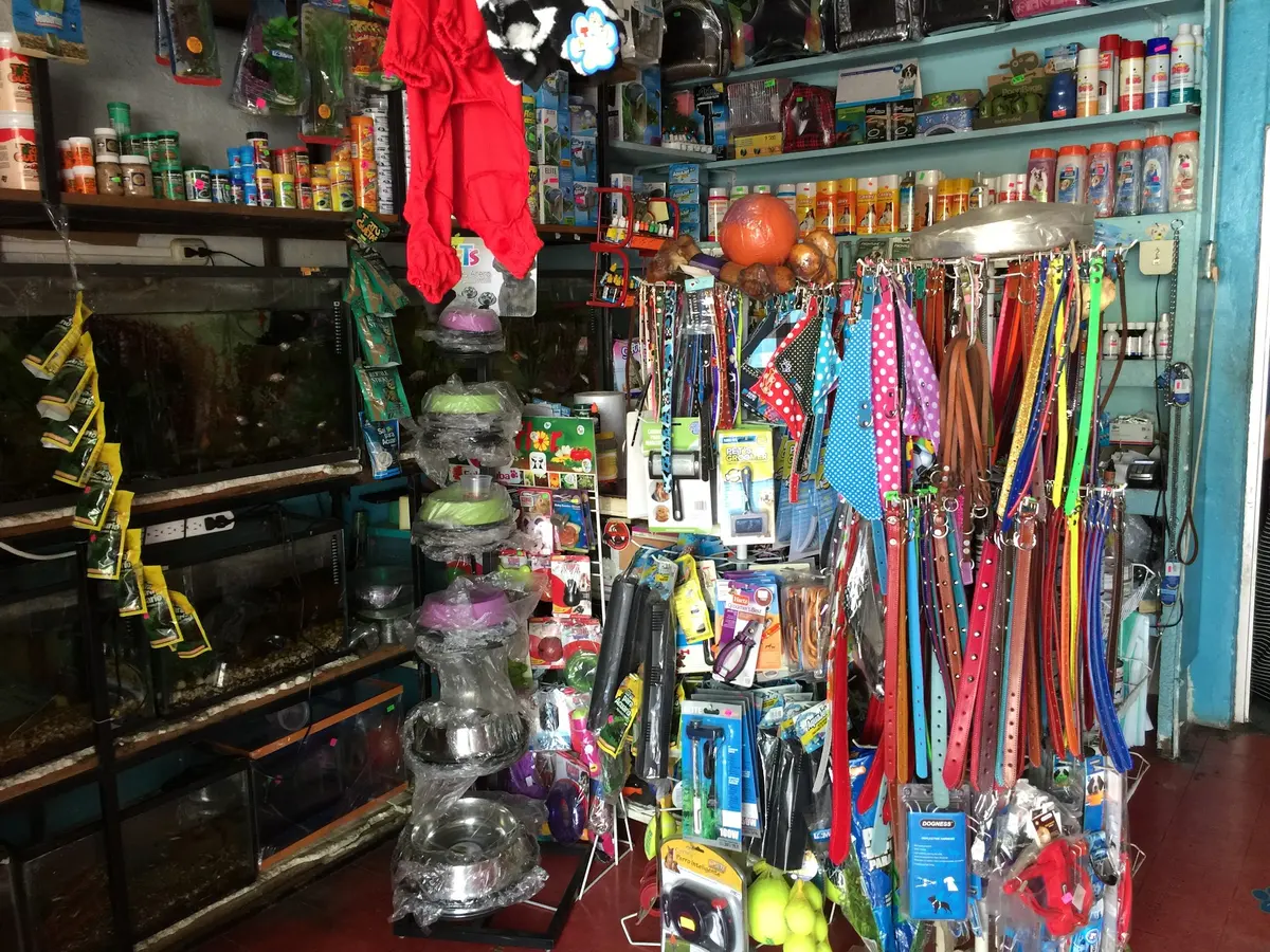 Clínica Veterinaria El Cachorro