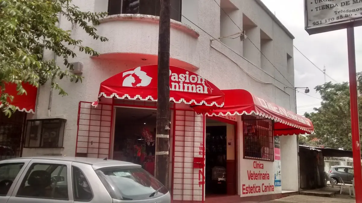 Clínica Veterinaria Pasión Animal