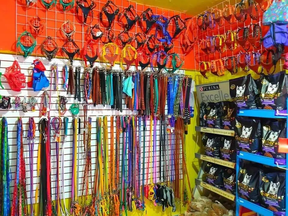 Centro Médico Veterinario Mundo Animal