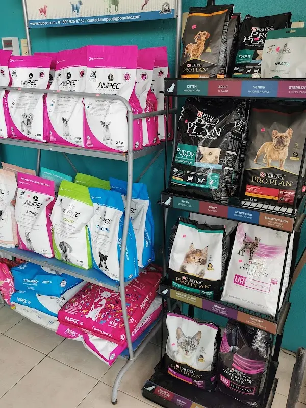 Clínica Veterinaria Animal Home