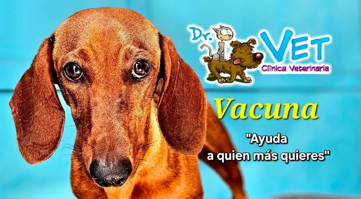 Dr. Vet. Clínica Veterinaria OSCAR CARLOCK