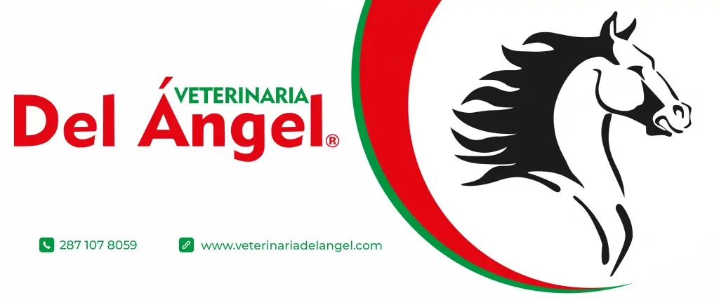 Veterinaria Del Angel