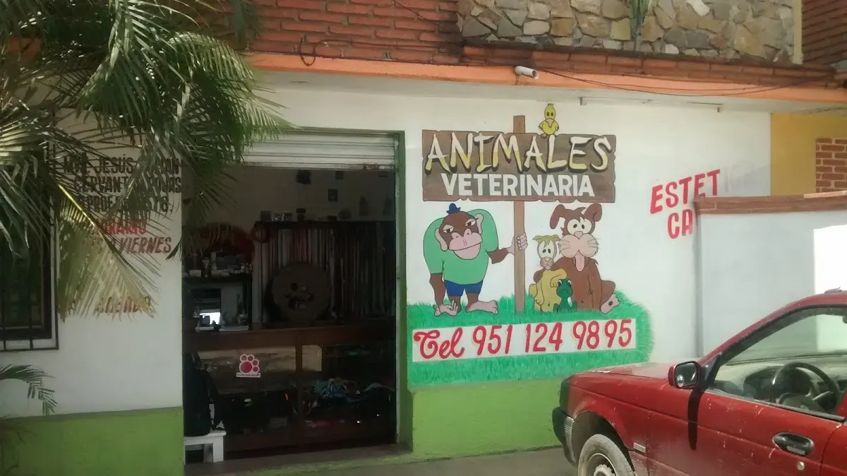 Clínica Veterinaria Animales