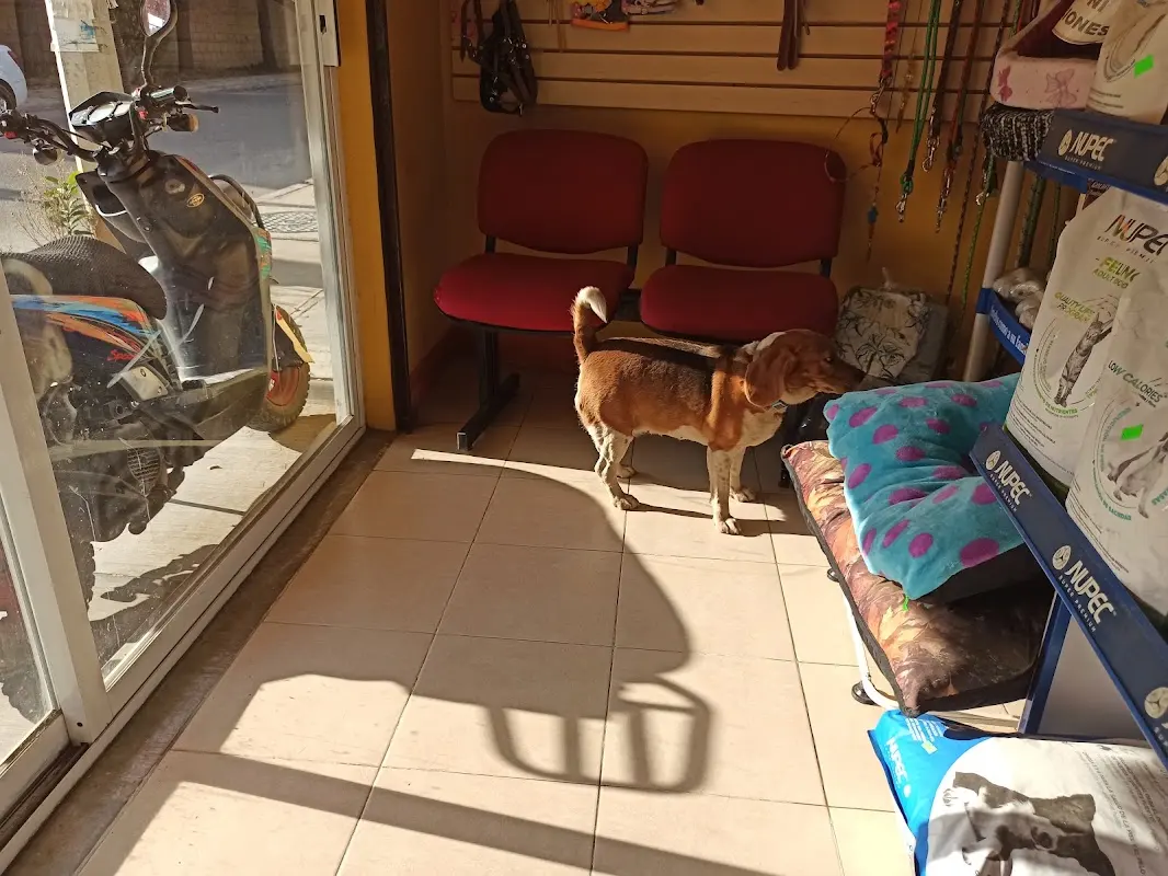 Clinica veterinaria Safari Xoxo