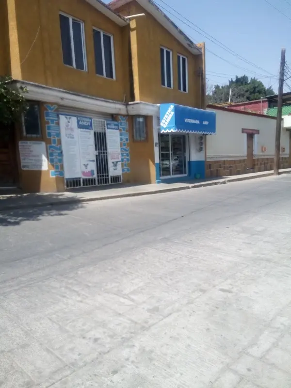 Veterinaria andy