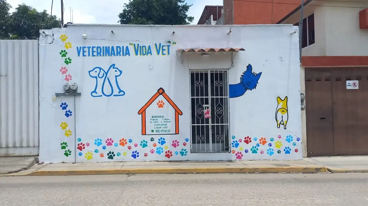 Veterinaria VIDA VET