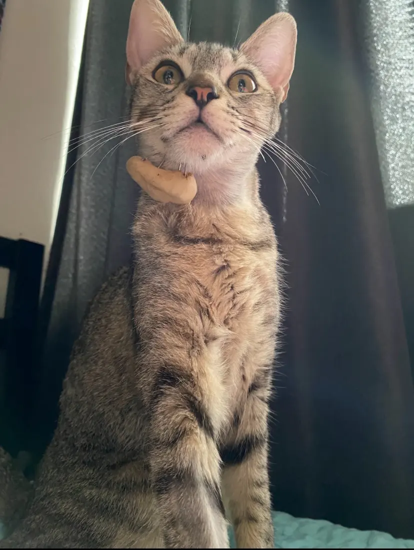 Clínica Veterinaria EQUICAN