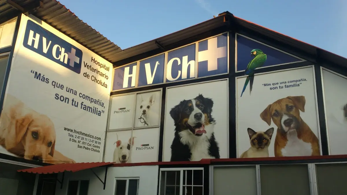 Hospital Veterinario de Cholula
