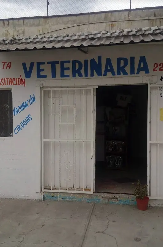 Médico Veterinario