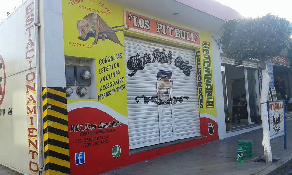 Veterinaria "Los Pitbull"