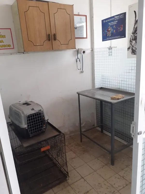 Veterinaria Pacheco