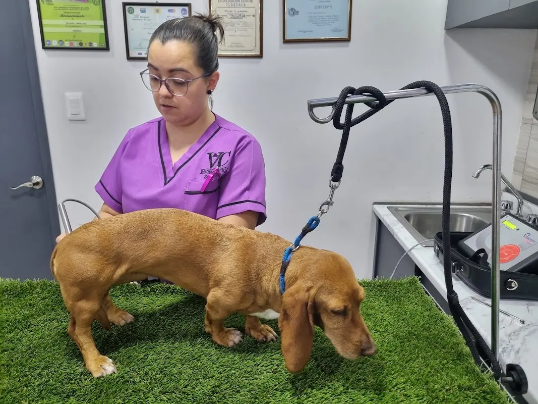 VETERINARIA "CORSARIO" — foto 1 de 1