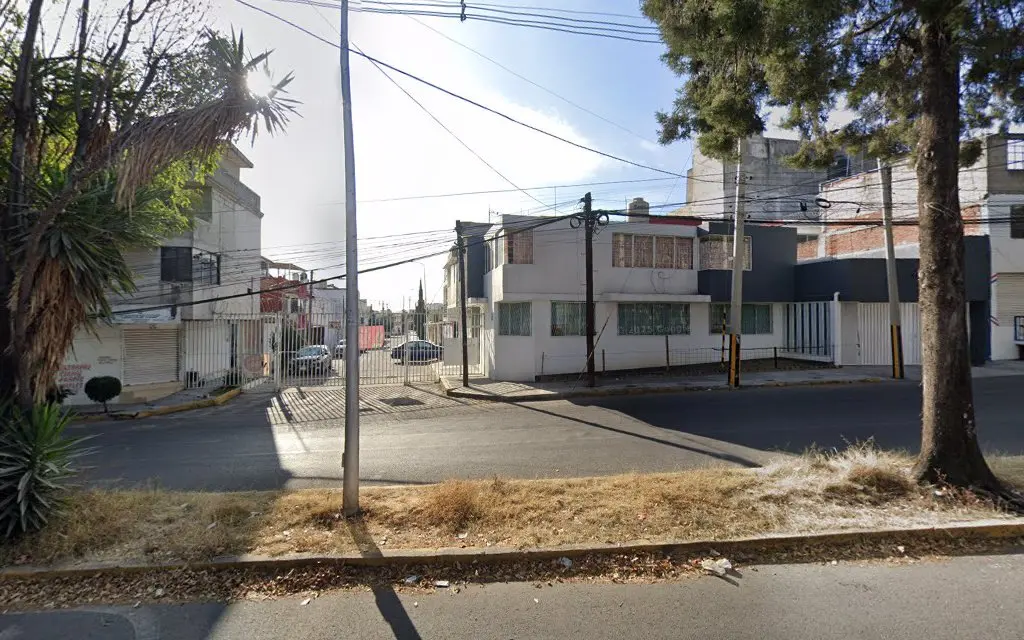 CENTRO VETERINARIO LORETO — foto 2 de 2