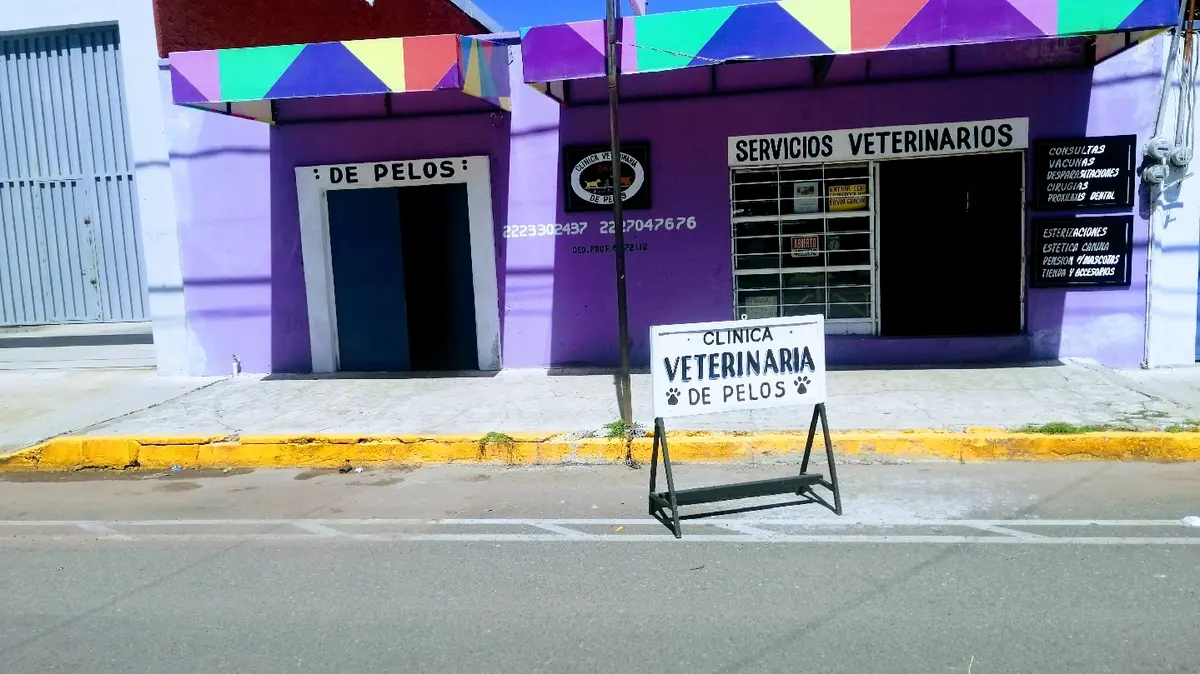 Clínica Veterinaria De Pelos