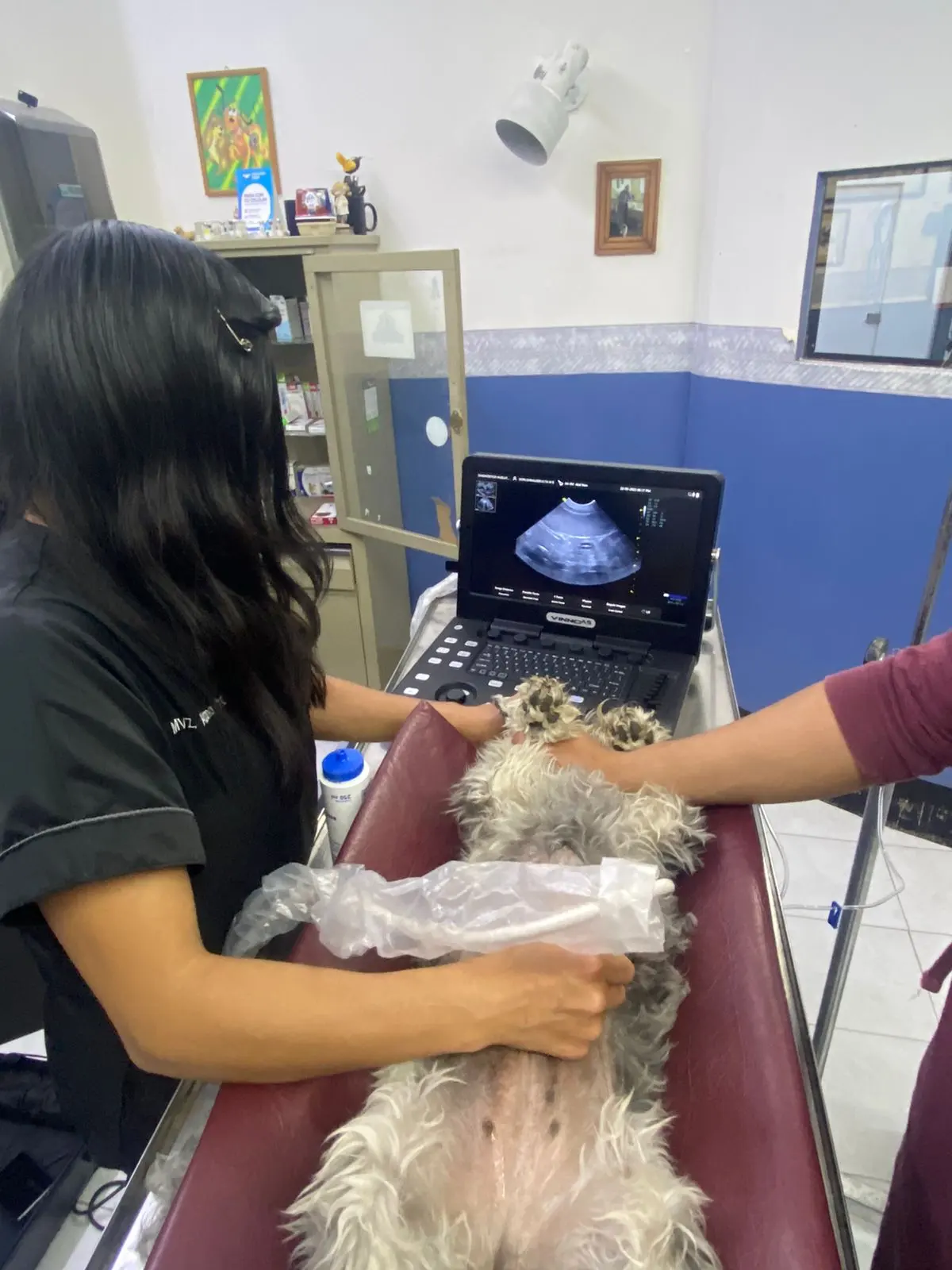 Clínica Veterinaria Las Americas