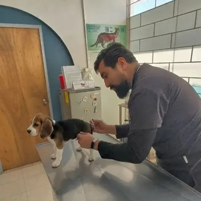 Clínica Veterinaria Pet Zoone — foto 4 de 4