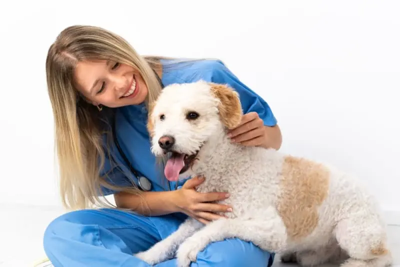 Hospital Veterinario Asis