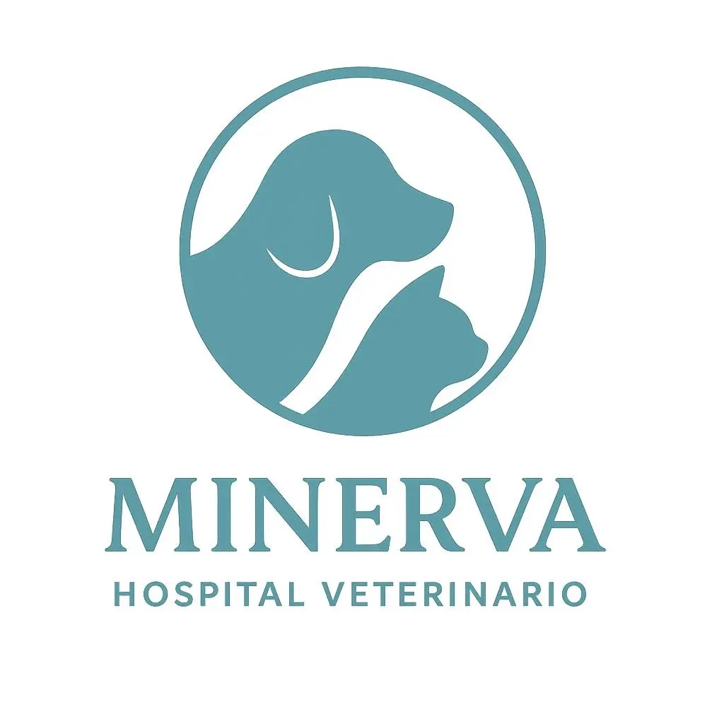 Minerva Hospital Veterinario | En Puebla | 24 Horas