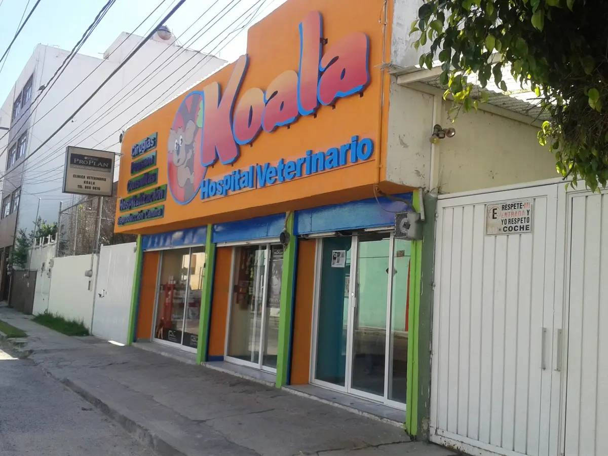 PUPPYHOUSE — foto 2 de 3