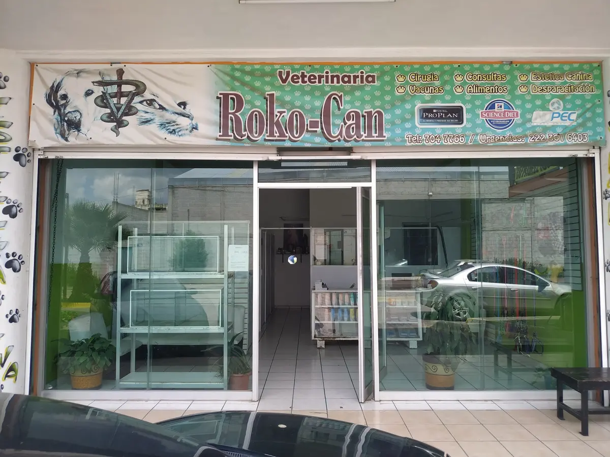 Roko - Can Veterinaria