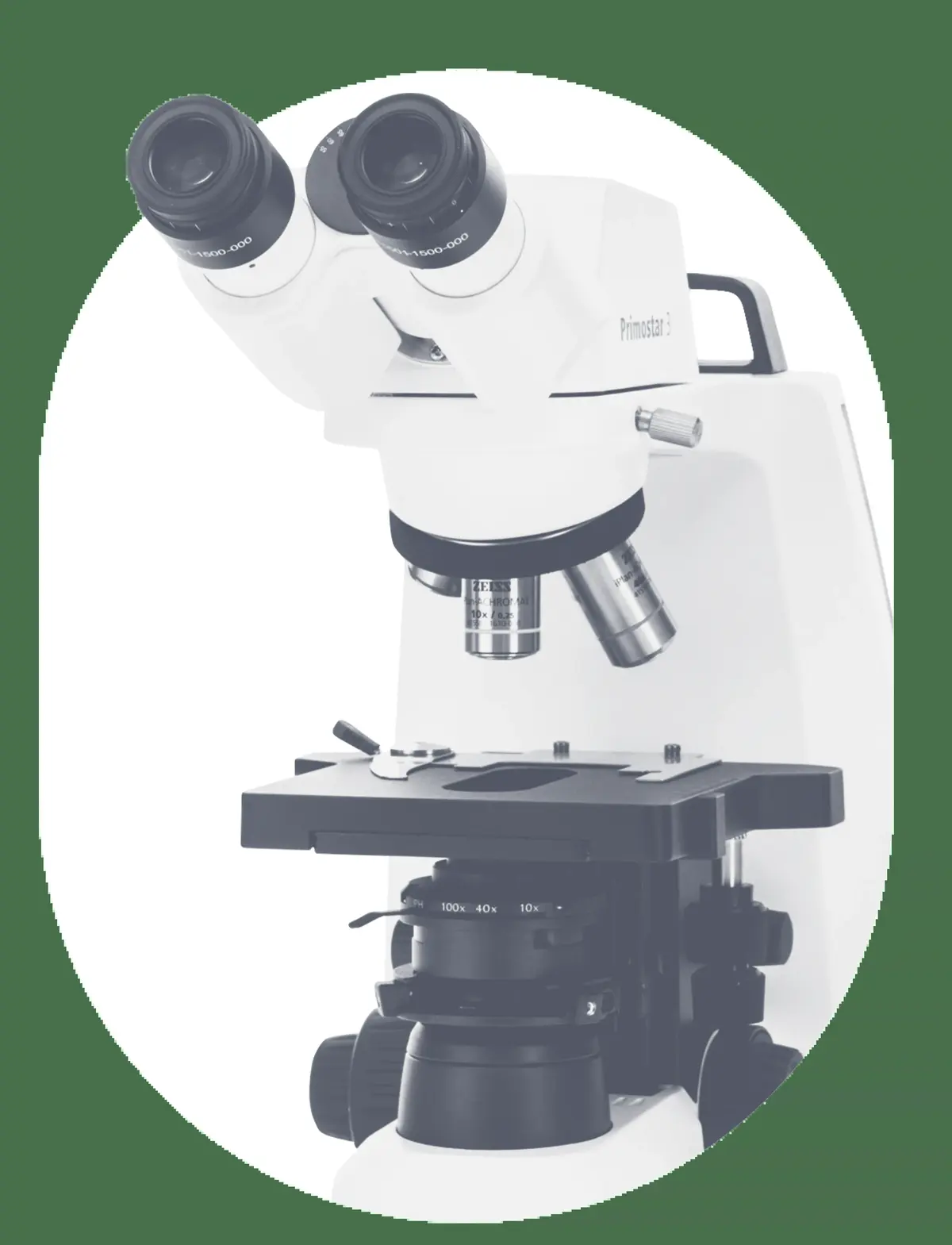 Scanvet Laboratorio Veterinario — foto 3 de 4
