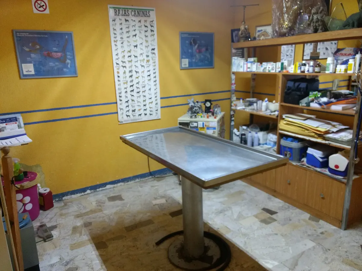 Servicios Integrales Veterinarios
