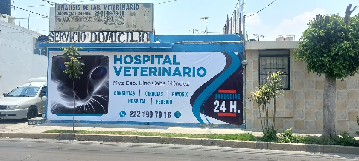 Urgencias Veterinarias 24 Horas