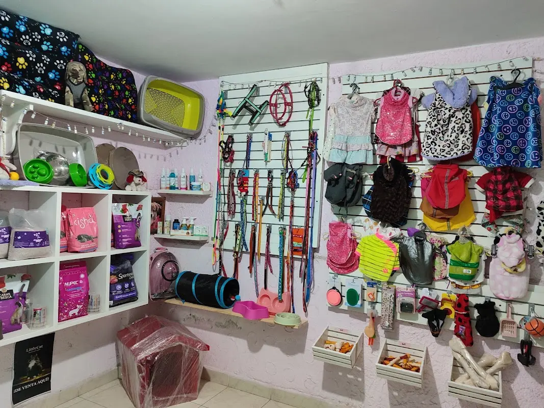 Centro Veterinario Cholula