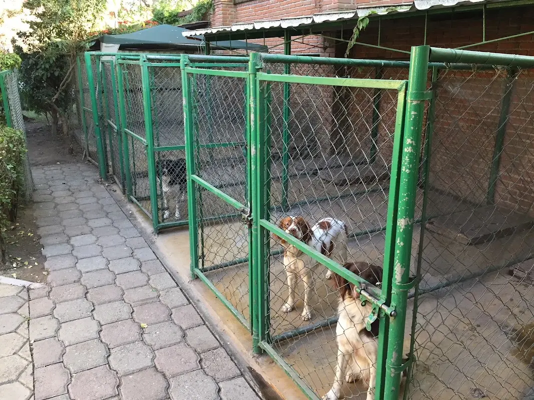 Clínica Veterinaria JHP Cholula