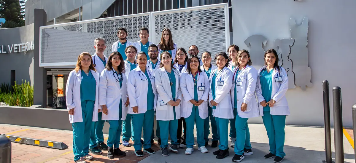 Hospital Veterinario de Puebla Unidad Recta 24/7