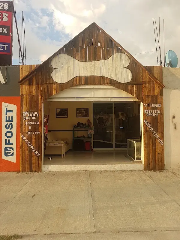 "Estilo Guau"