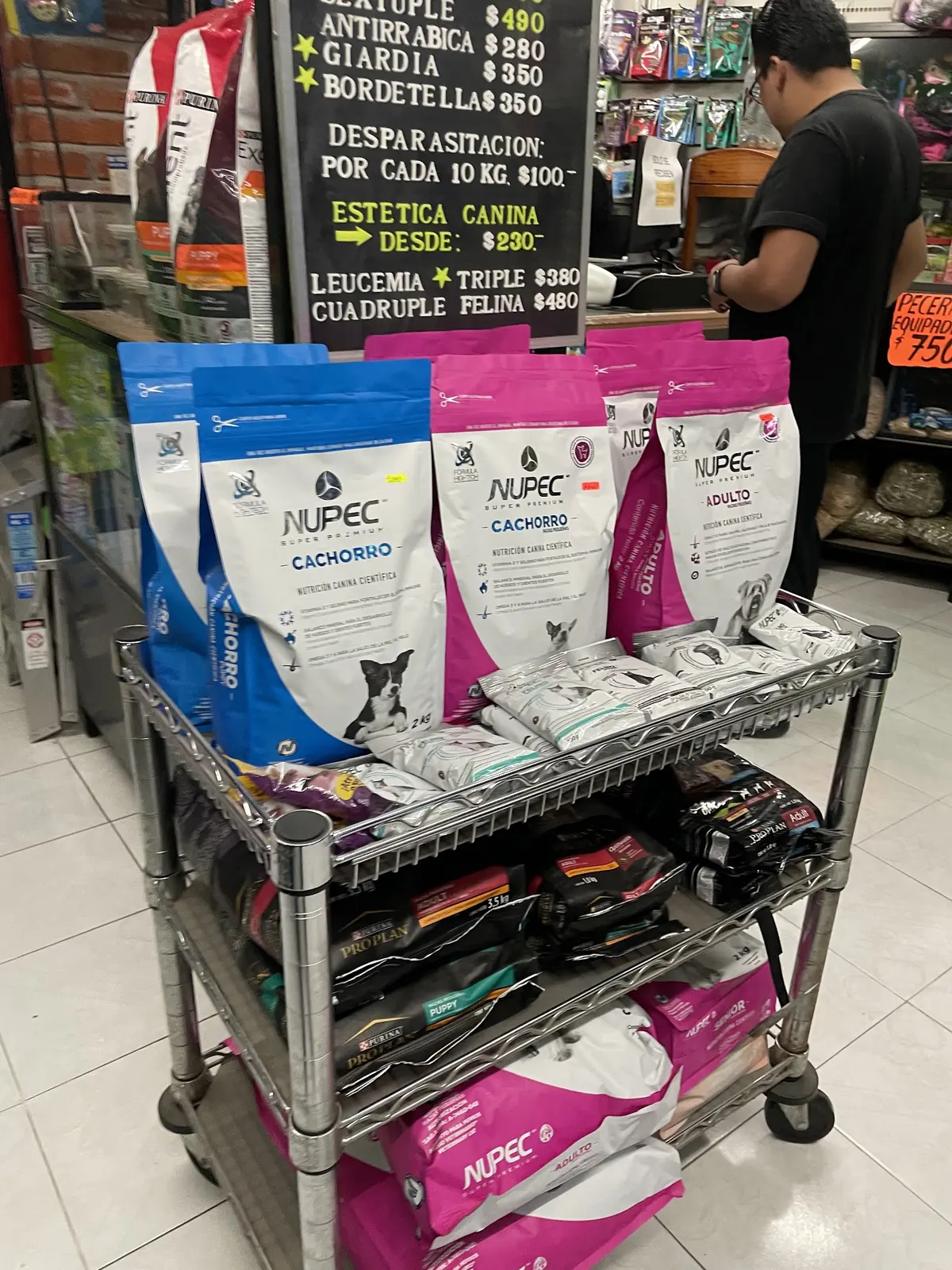 ARGOS CLÍNICA VETERINARIA