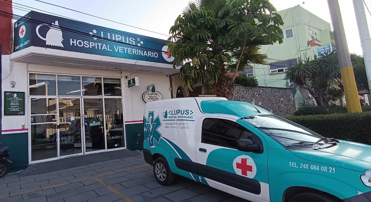 LUPUS Hospital Veterinario