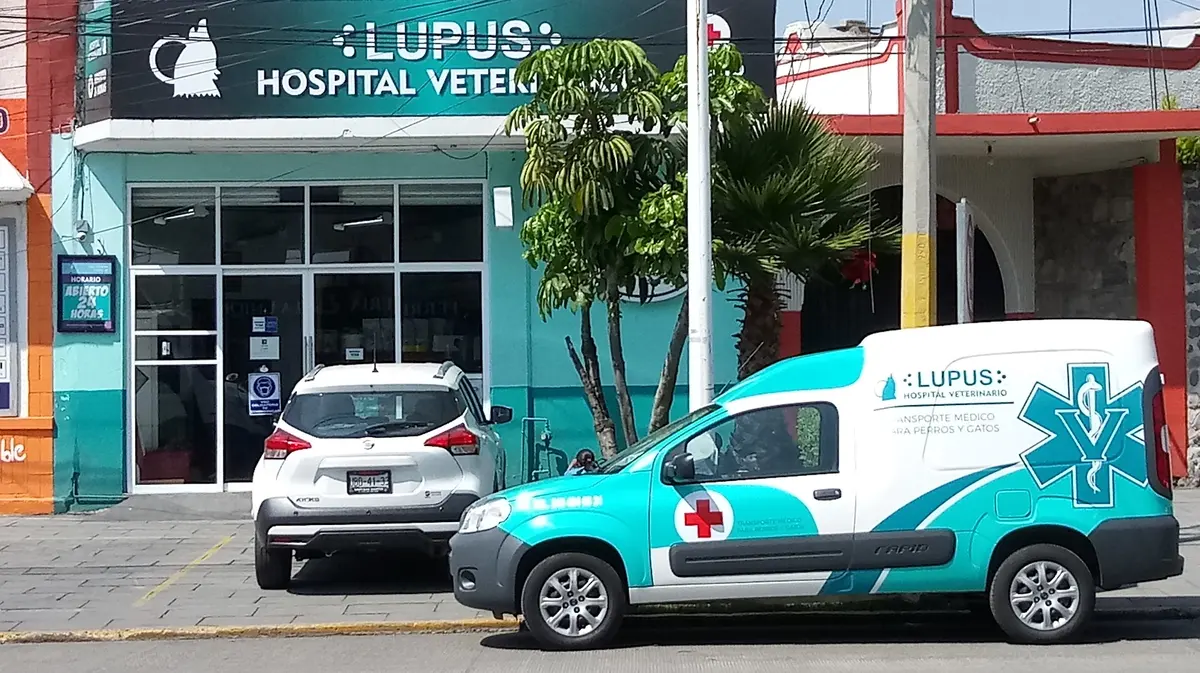 LUPUS Hospital Veterinario — foto 3 de 3