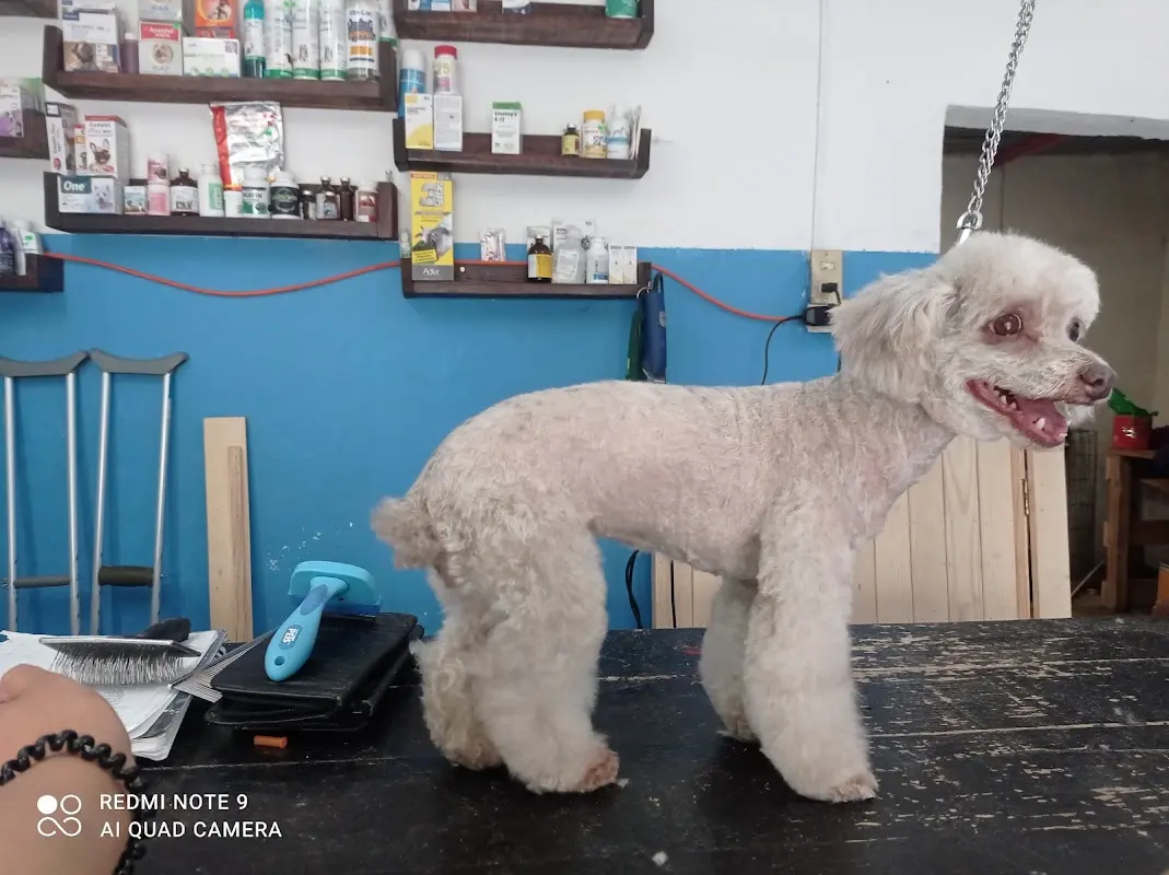 Veterinaria R.W.
