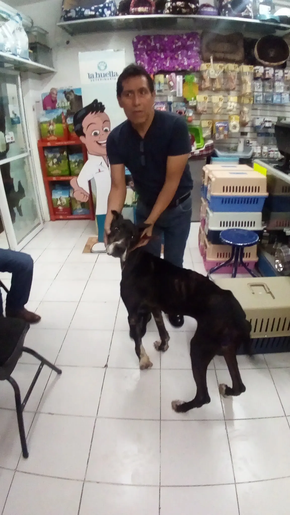 Veterinaria "La Huella" — foto 3 de 3