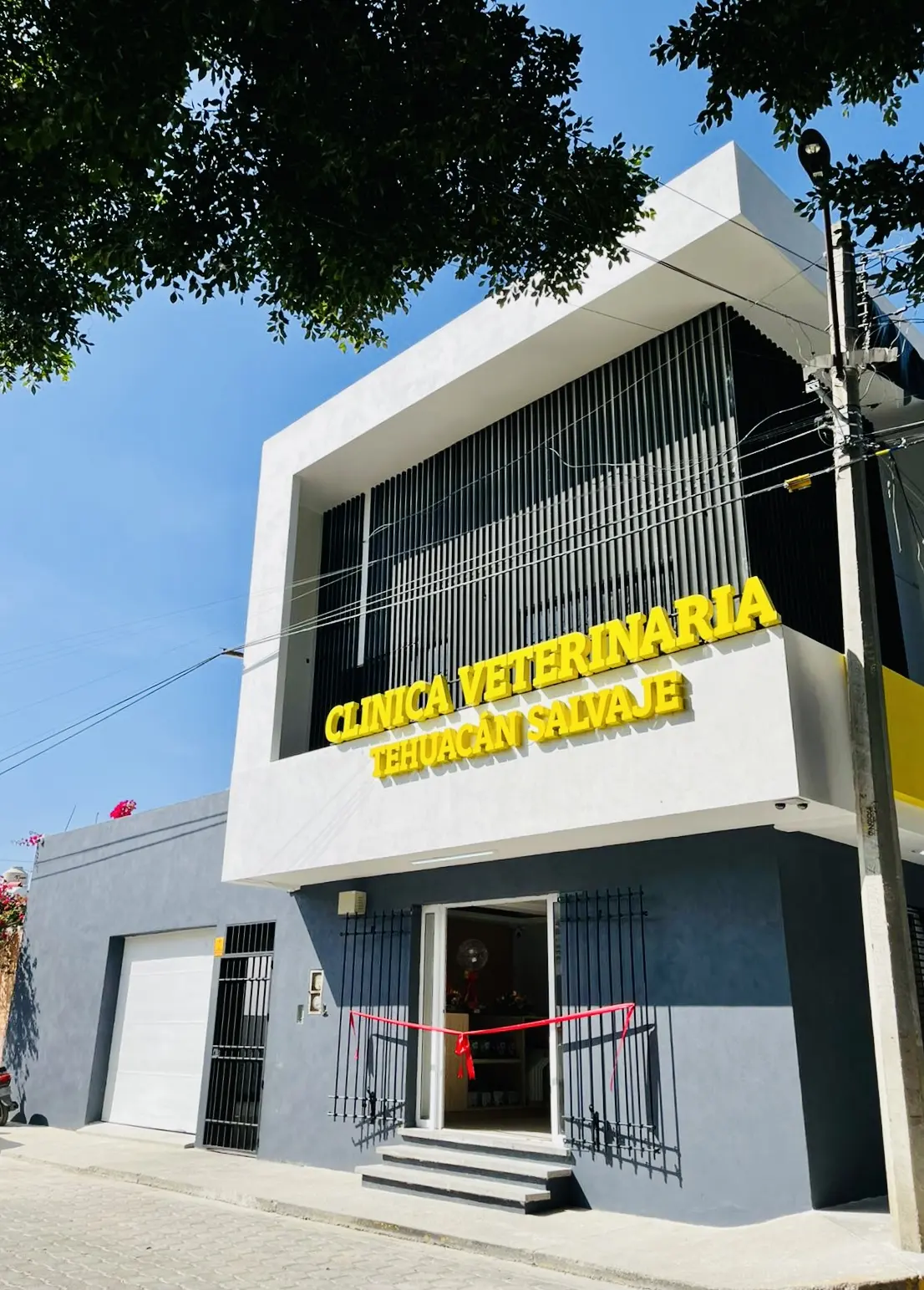 VETERINARIA TEHUACAN SALVAJE