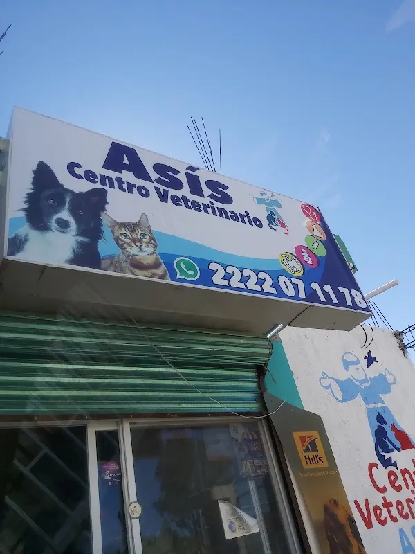 Centro Veterinario FRAY — foto 3 de 3
