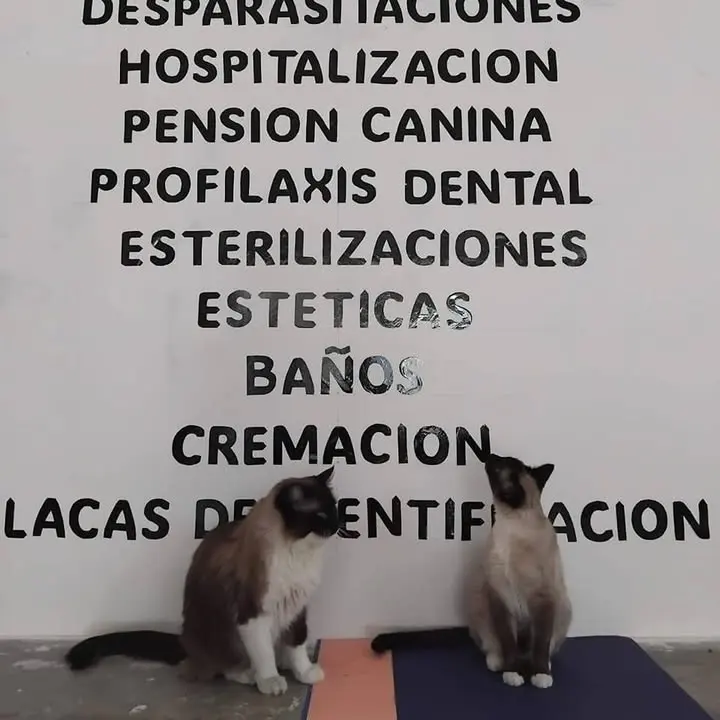 Veterinaria Tierra Pet