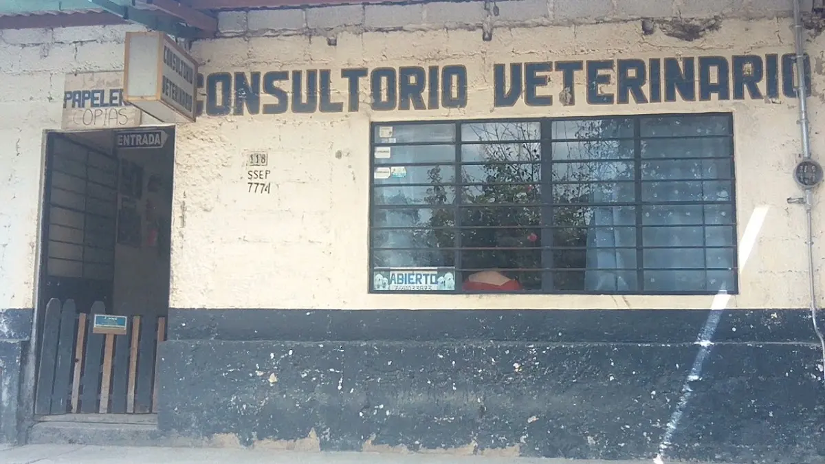 Servicio Veterinario Xicotepec