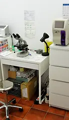 Hospital Veterinario San Juan — foto 4 de 6