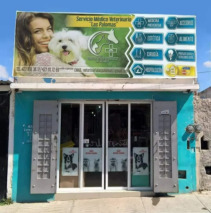 Veterinaria HOMEVET Las Palomas — foto 3 de 3