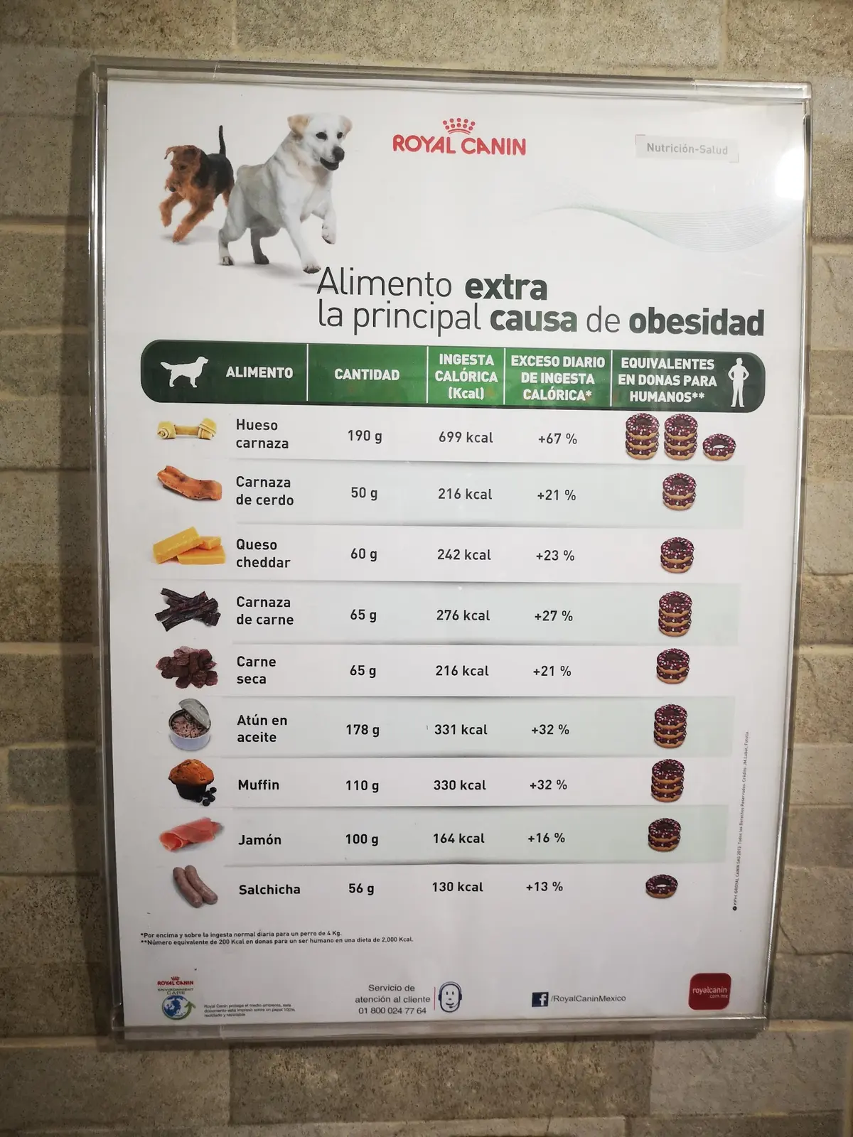 HOSPITAL CENTRAL VETERINARIO